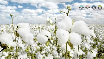 Spring Autumn New Baby Clothing Set Cartoon Cotton Baby Boys Clothing Girls Suit Set 0-3 Year Baby Clothes