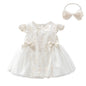 Ruffles Lace Bow Newborn Baby Girl Dress Autumn Long Sleeve Formal Princess Dresses for 1 Year Girls Clothes