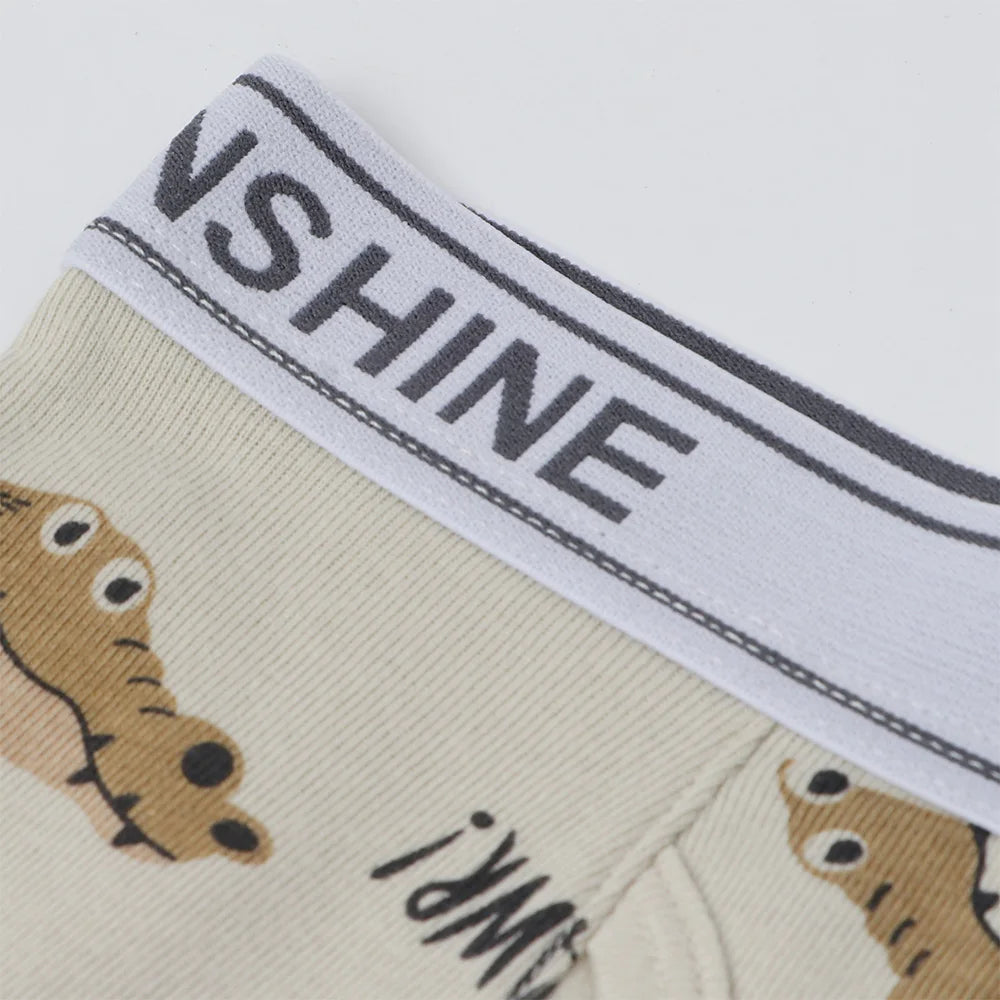 6 Pcs Baby Toddler Boys' Underwear,  100% Cotton Kids Underwear, Little Boys Briefs Soft Dinosaur Boxer Briefs