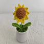 Handmade yarn, hooks, flowers, sunflowers, potted plants, home décor, wedding decorations, holiday gifts
