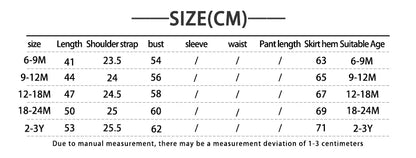 INS Baby Girls Strap Dress Flower Embroidery Heavy Denim Dress Pocket Button Bodysuits Autumn Newborn Baby Clothes 0-3Y