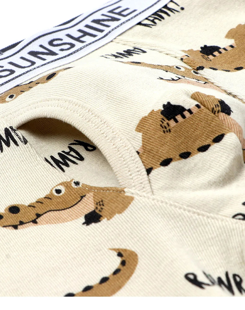 6 Pcs Baby Toddler Boys' Underwear,  100% Cotton Kids Underwear, Little Boys Briefs Soft Dinosaur Boxer Briefs